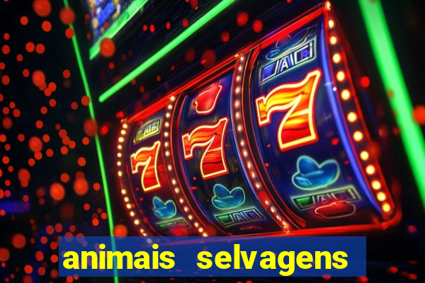 animais selvagens fotos e nomes